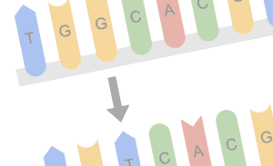 Discover the Science behind mútame